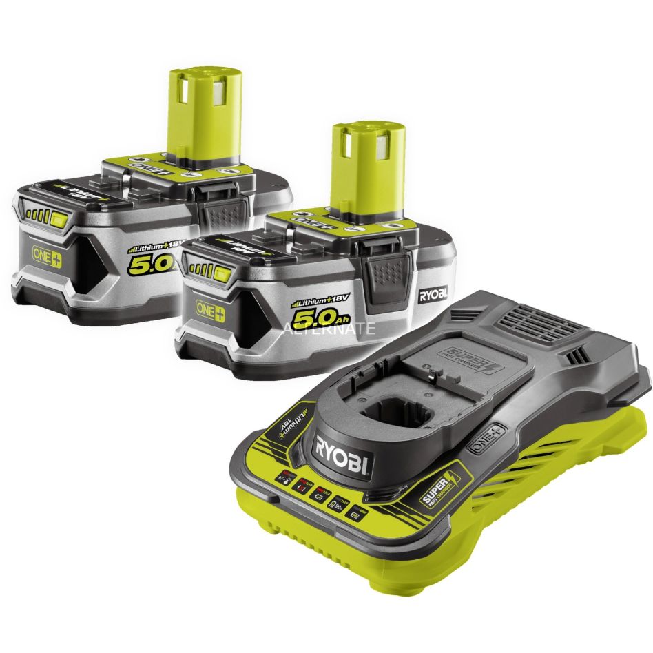 Ryobi Accessoires 5133004422 RC18150-250 18V 2x 5.0Ah Accu en Snellader