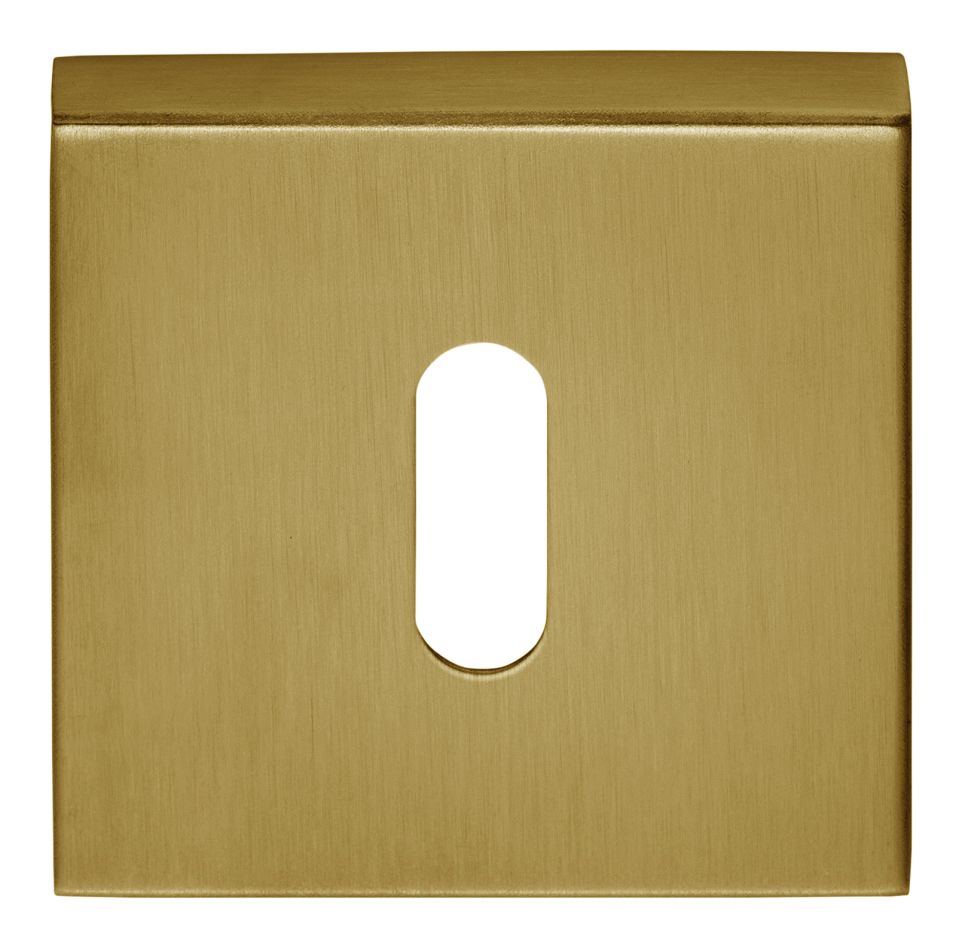 Formani 1501N060IMXX0 BASICS BSQN53 vierkant sleutelplaatje PVD mat goud