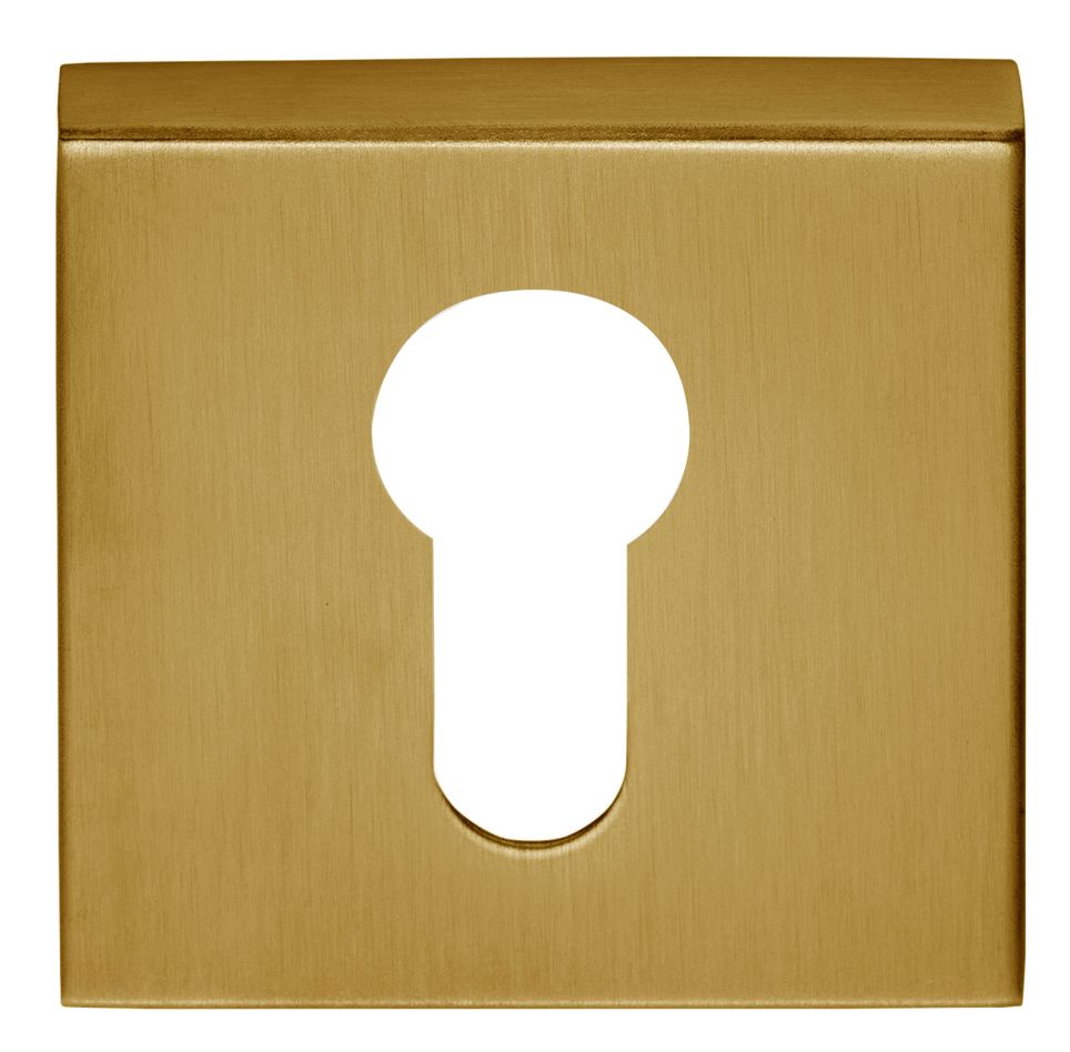 Formani 1501Y060IMXX0 BASICS BSQY53 vierkant cilinder plaatje PVD mat goud