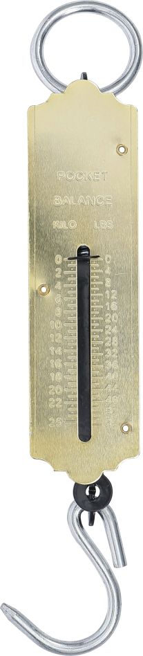 BGS Do It Yourself 8033 Hangweegschaal max. 25 kg