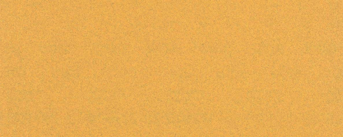 Bosch Blauw Accessoires 2608900873 Expert C470 schuurpapier zonder gaten 93 x 230 mm, K100 10 stuks