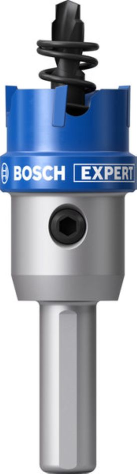 Bosch Blauw Accessoires 2608901976 EXPERT Sheet Metal Gatzaag met adapter 20 x 5 mm