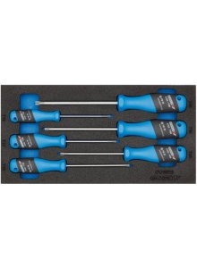 Gedore 2309157 1500 CT1-2163 TX 3-C schroevendraaier-set in CT module 6-Delig