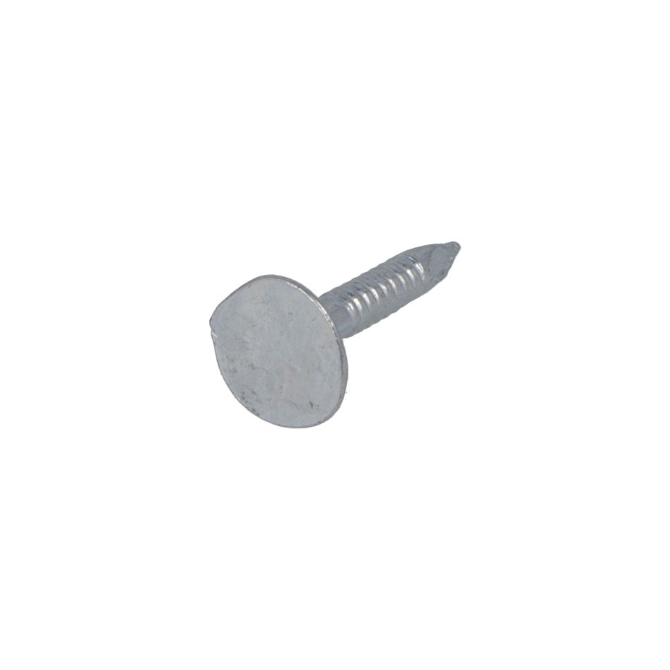 Proftec 5592.01.02210 Asfaltnagel VZ PK 3.0 x 15 mm - 1 kg