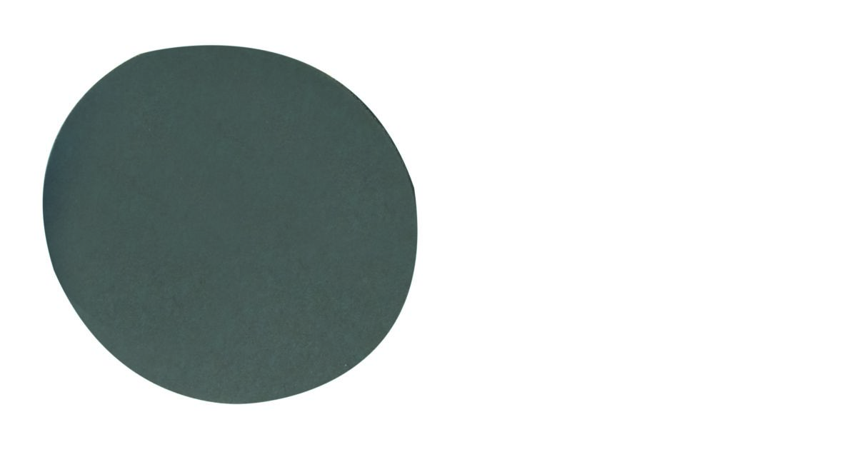 Proxxon 28670 Slijpschijven Siliciumcarbide K2000 D50 (12st)