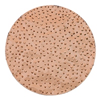 Rokamat 22905 Hardmetalen schuurschijf ø200 grof