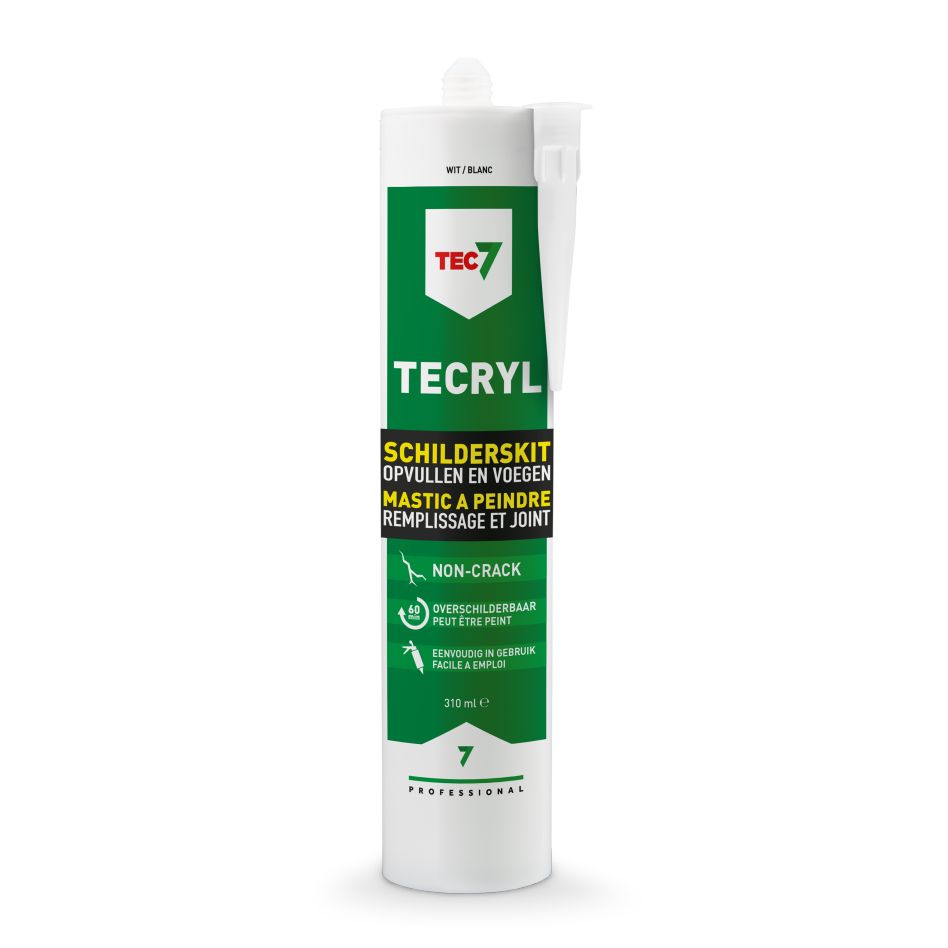 TEC7 528100000 Tecryl Wit Schilderskit patroon 310ml