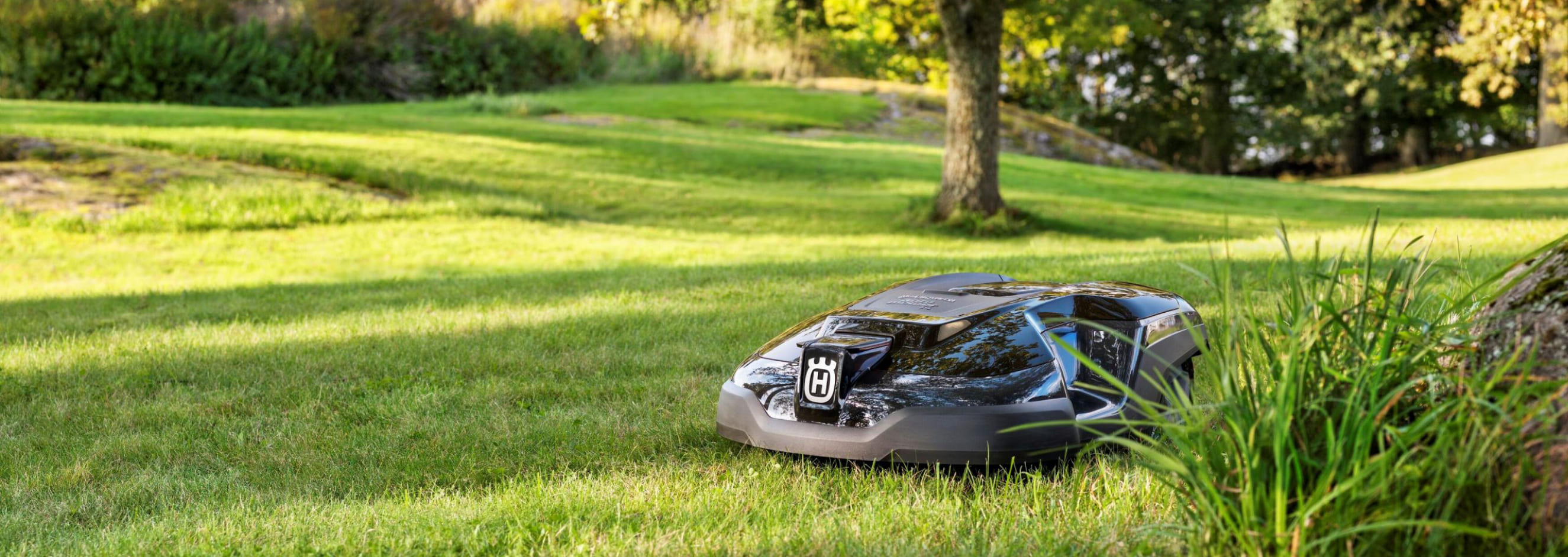 Gras maaien: 5 tips voor een gezond gazon